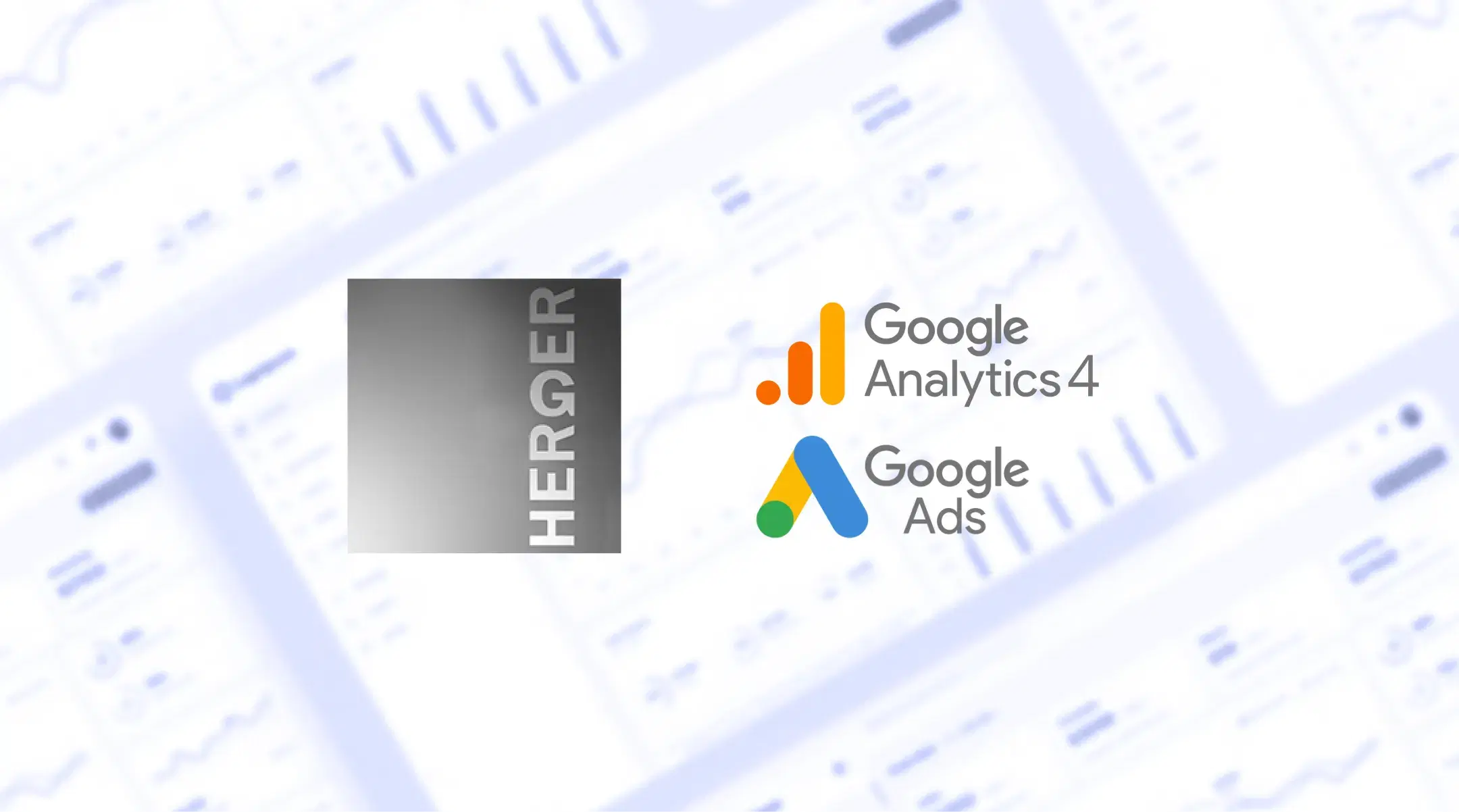 darwin digital herger website seo google ads